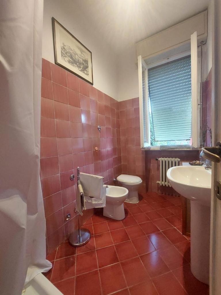 Sauro 43 Apartamento Pisa Exterior foto